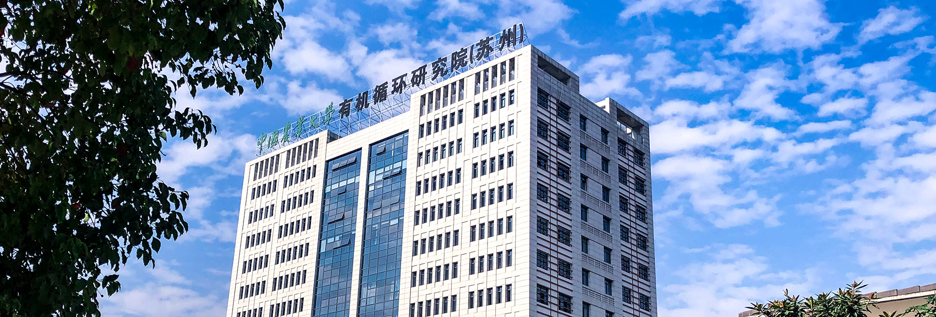 通栏图片