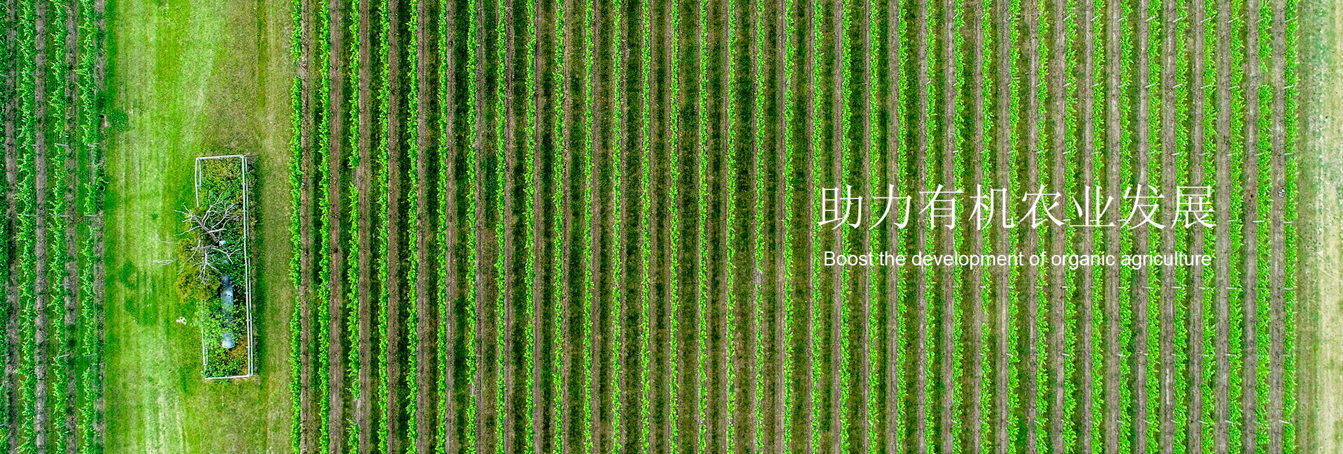 通栏图片